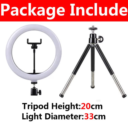 10 Inch LED Selfie Ring Light Dimmable Photography Fill Lamp with Mini Tripod for Phone Tiktok Live Video Photo Studio Ringlight